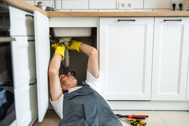 Best Plumbing Repair Near Me  in Waterloo, IL